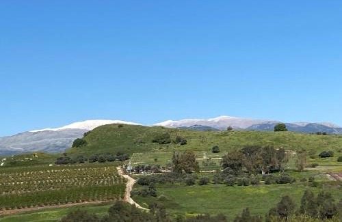 Metula Casa | Casa Camellia metula