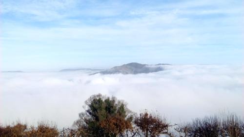 Arouca Casa | Casa d'Alvite - Arouca