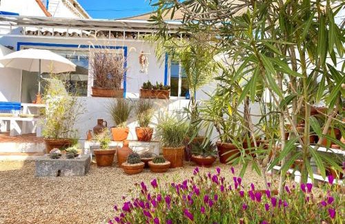 Aldeia Apartamento | Casa Da Aldeia