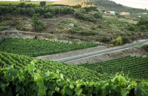 Bomfim Casa | Casa da Seara