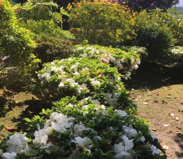 Figueroa Casa | Casa das Veigas