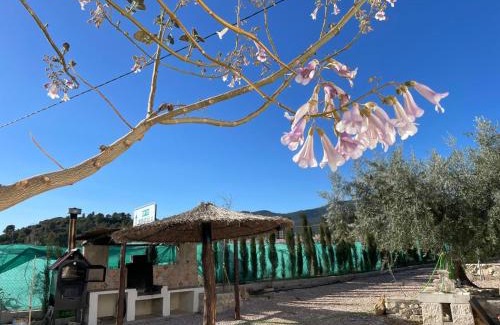 Moratalla Casa | Casa de Antonio con piscina privada