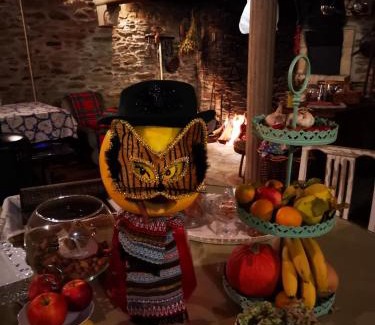 Carvalhais Casa | Casa de Campo dos Távoras