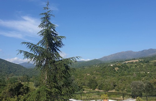 Gaucín Cabaña | Casa de campo en finca privada a 10 minutos de Gaucín
