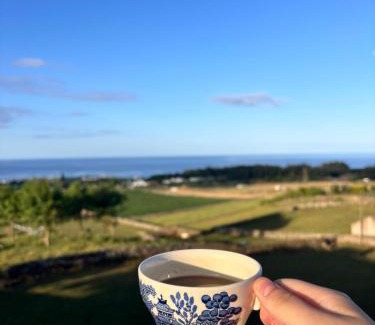 Angra do Heroismo Apartamento | Casa de Campos AL