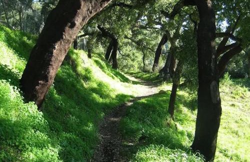 Benarraba Casa | Casa de Diego el Barbero