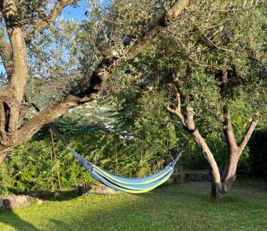 Ischia Porto Apartamento | Casa dei Nonni