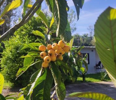 Picada Cafe Apartamento | Casa do Bem Estar Picada Café