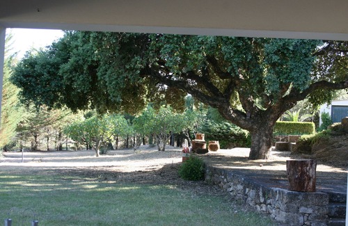 Castelo Branco Cabaña | CASA DO CAMPO em quinta rural