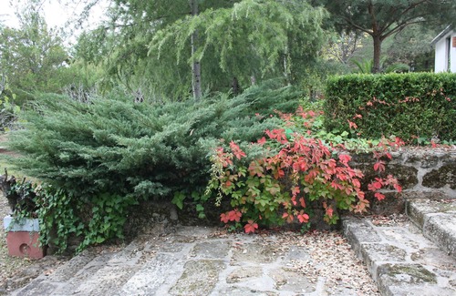 Castelo Branco Cabaña | CASA DO CAMPO em quinta rural