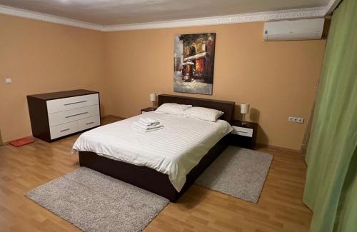 Calea Sever Bocu Villa | CASA DON lângă Iulius Mall