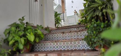 Alcalá de los Gazules Apartamento | Casa dSanz "Relax con bañera de hidromasaje"