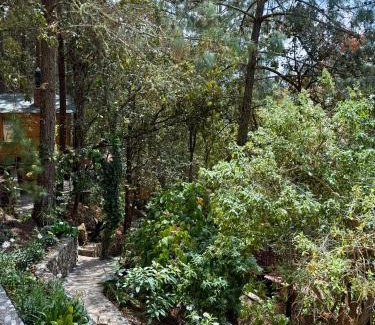 San Jose del Pacifico Apartamento | Casa Elba Cabañas & Bistro