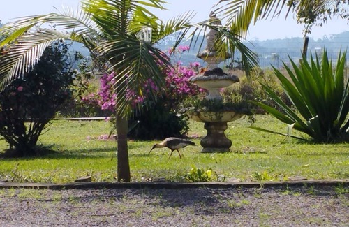 Torres Cabaña | Casa em Torres com Linda Vista Para a Lagoa da Itapeva - a 5 min da Praia!
