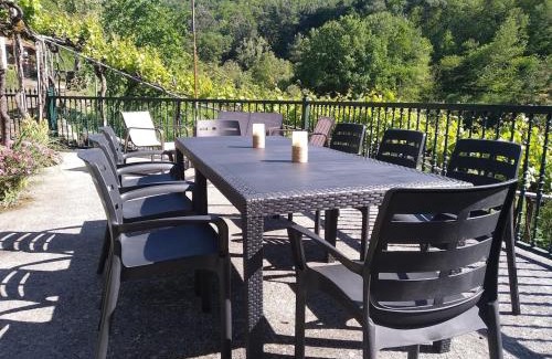 Nogueira de Ramuín Casa | Casa en Viñoas (Ribeira Sacra)