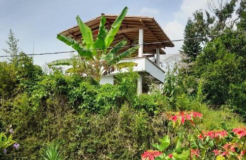 Amaga Hotel | Casa Finca Minas