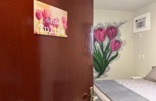 Barra do Garcas Casa | Casa Flora