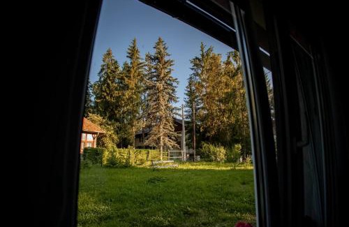 Jibert Casa | Casa Izvoru Mureșului