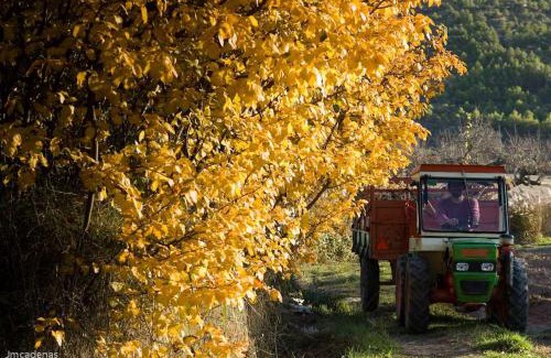 Utande Casa | Casa la nuri