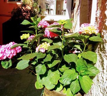 Feglino Apartamento | Casa La Quiete