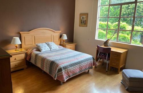 Narvarte Poniente Casa | Casa Luna
