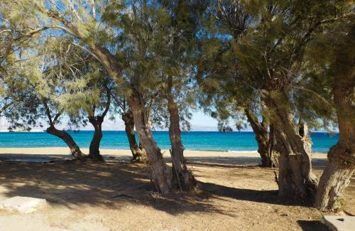 Logaras Apartamento | casa maia