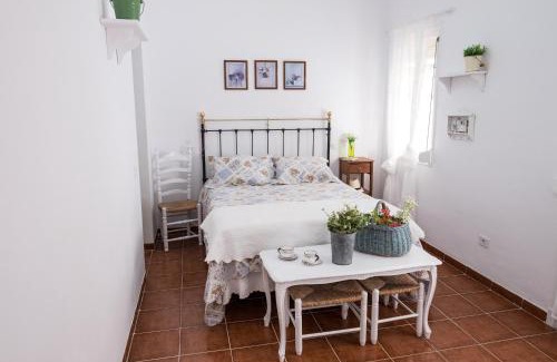 Santa Cruz de Tenerife Casa | Casa María Cristina 3
