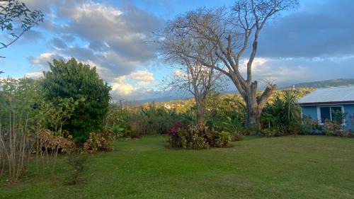 La Mandarina Casa | Casa Marigold