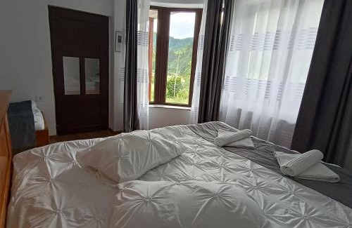 Rau Sadului Casa | Casa Muntilor Prejba