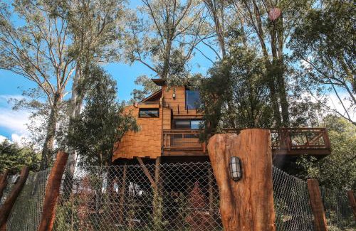 Farroupilha Villa | Casa na Árvore Morada dos Vagalumes