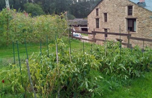 Foz Apartamento | Casa o Furco