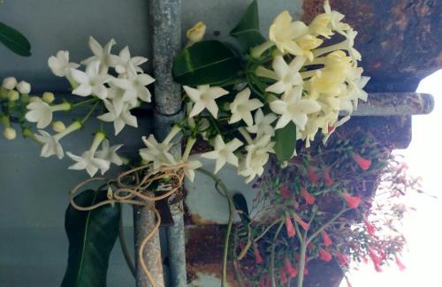 Valverde Apartamento | Casa Omaira y Nacho