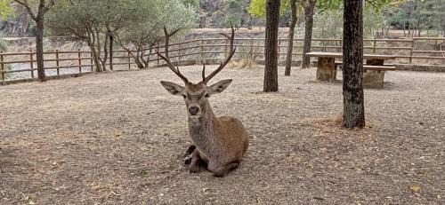 Villarreal de San Carlos Casa | Casa Rural Monfragüe
