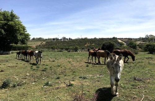 La Cañada Casa | Casa rural a una hora de Madrid