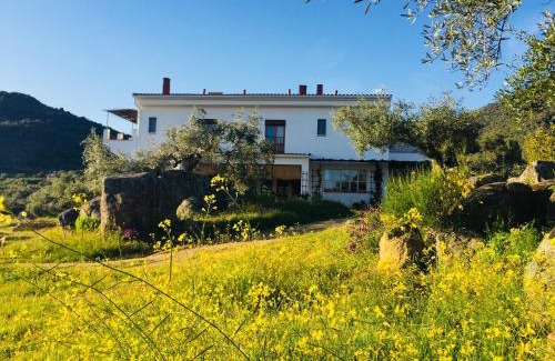 Almoharin Casa | Casa Rural Flores Amarillas