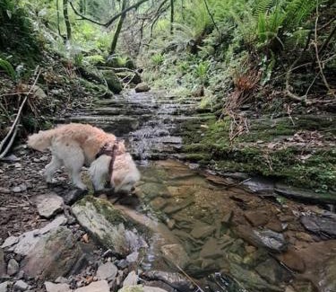 Aia Casa | Casa Rural Gaztandizabal