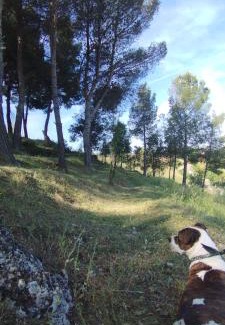 Illana Casa | Casa Rural MONTE VERDE