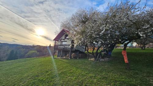 Moieciu Cabina | Casa rustica
