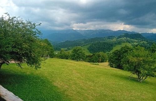 Moieciu Cabina | Casa rustica