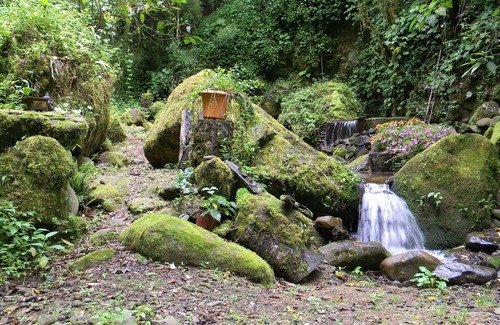 Copey Cama Y Desayuno | Casa San Rafael del Pedregoso