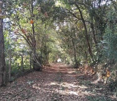 Mairipora Casa | Casa Térrea e Rústica - Serra da Cantareira