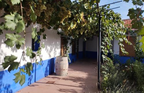 Arenales de San Gregorio Casa | Casa (tipo) RURAL MANCHEGA