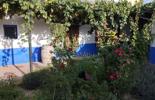 Arenales de San Gregorio Casa | Casa (tipo) RURAL MANCHEGA