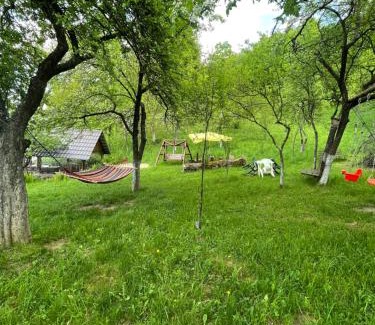 Suncuius Casa | Casa Titiana Suncuius