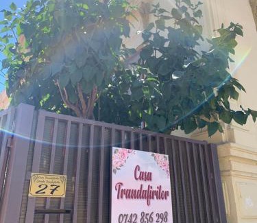 Tulcea Casa | Casa Trandafirilor