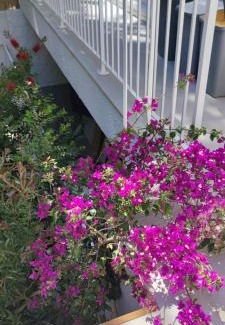 Campomarino di Maruggio Casa | CASA VACANZA ANNA FRANK - CAMPOMARINO di MARUGGIO (TA)