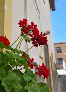 Bagnaturo Casa | Casa Vacanze al Vicoletto