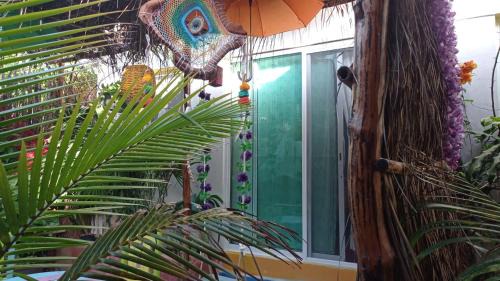 Isla Holbox Apartamento | Casa Vainilla Holbox Island