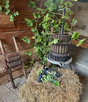 Sibiel Casa | Casa veche “Old house”