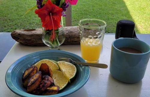 Ojochal Casa | Casa Willow